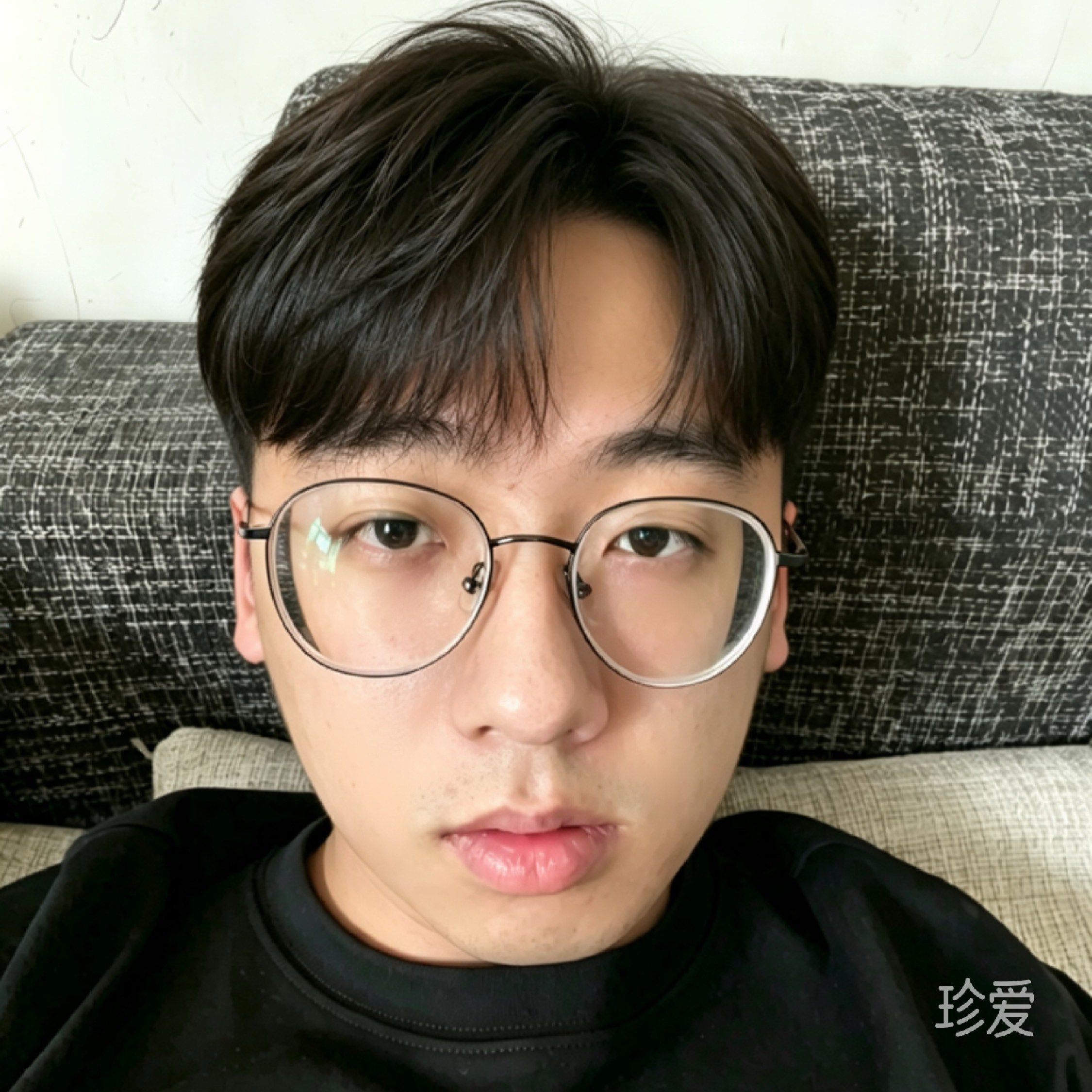 银狐