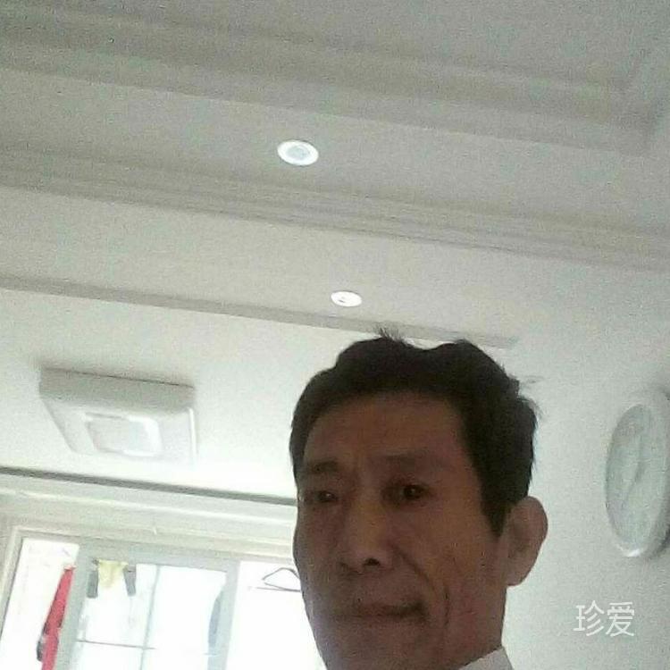真爱无悔