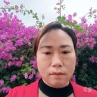 風(fēng)揚(yáng)起的思念