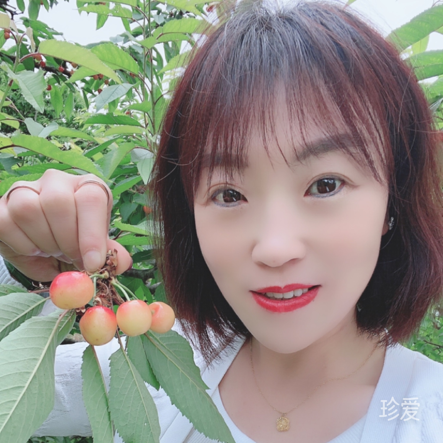 开心每一天