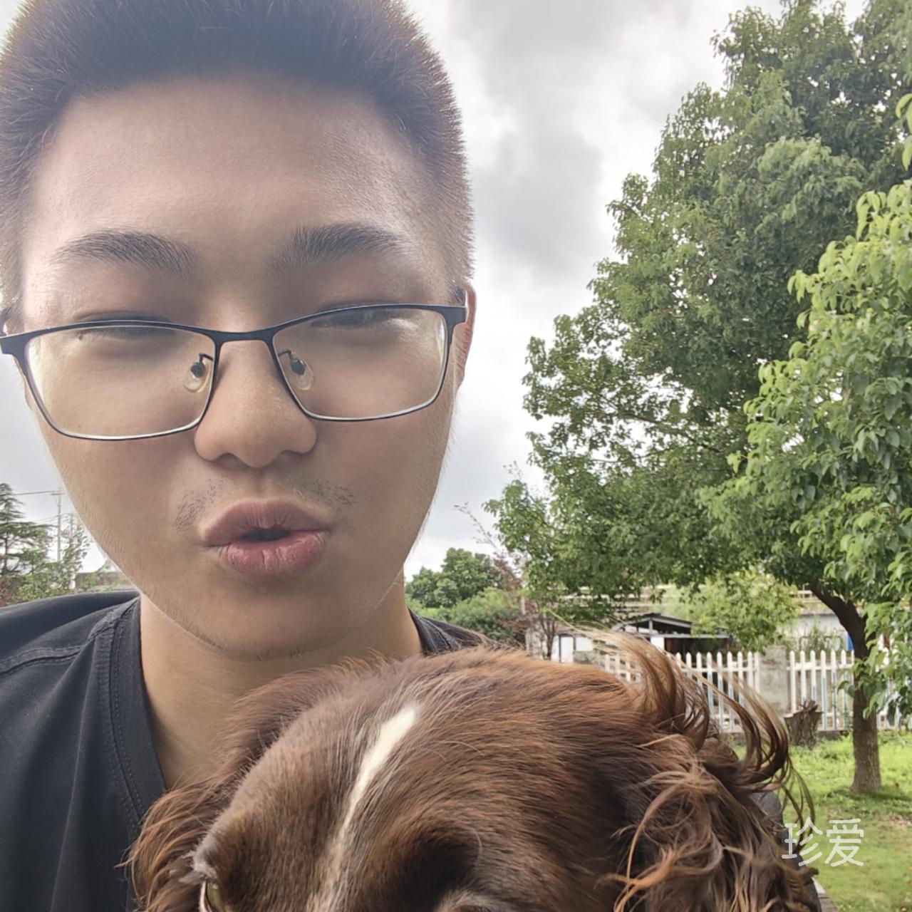 老狗