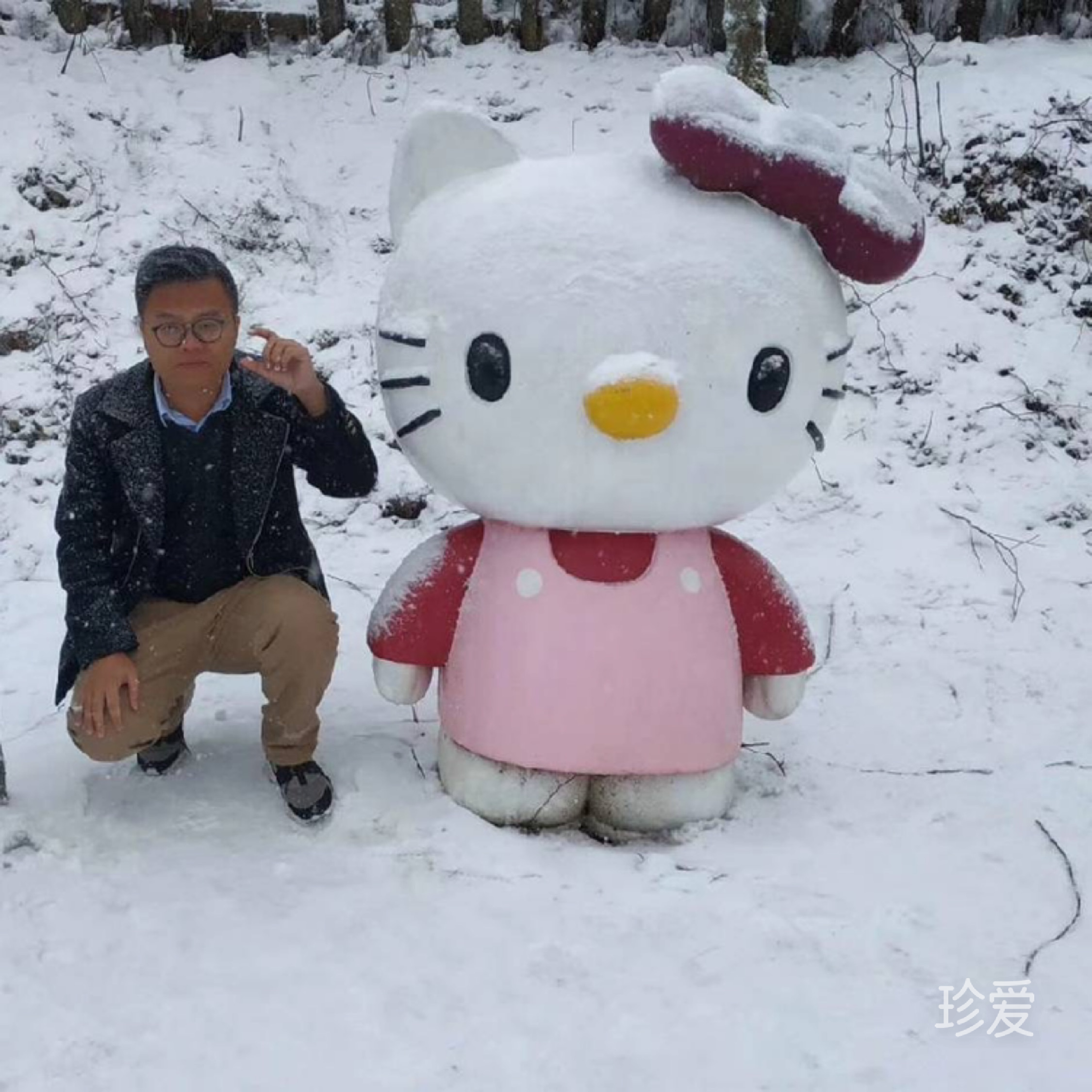 david努力再努力