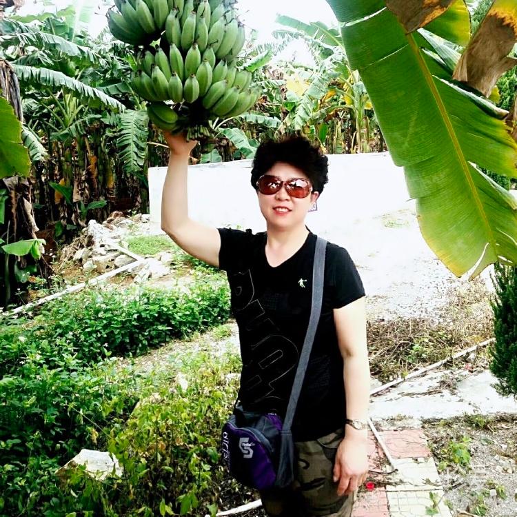 蔷薇草