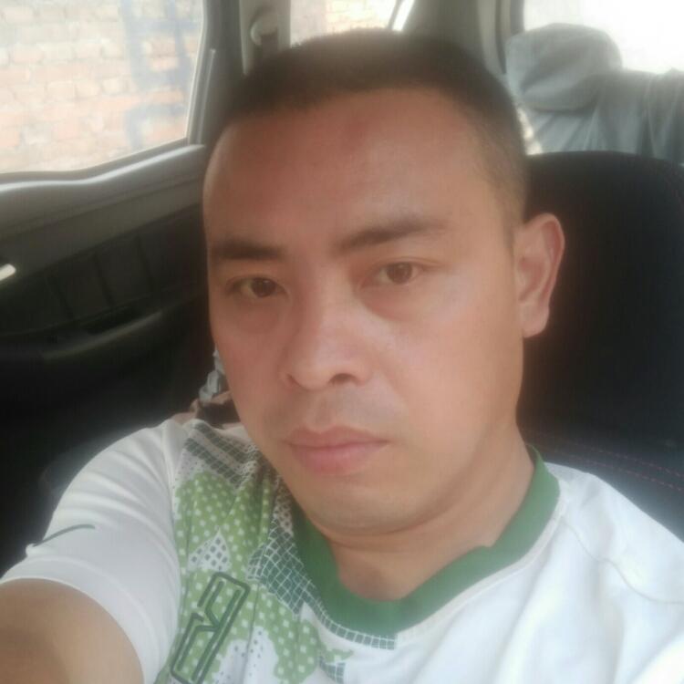 你若安好便是晴天