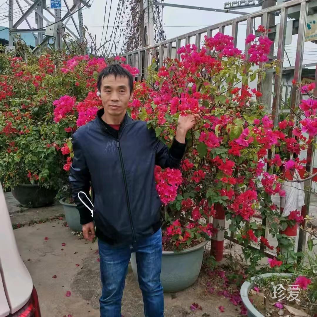 永不放弃