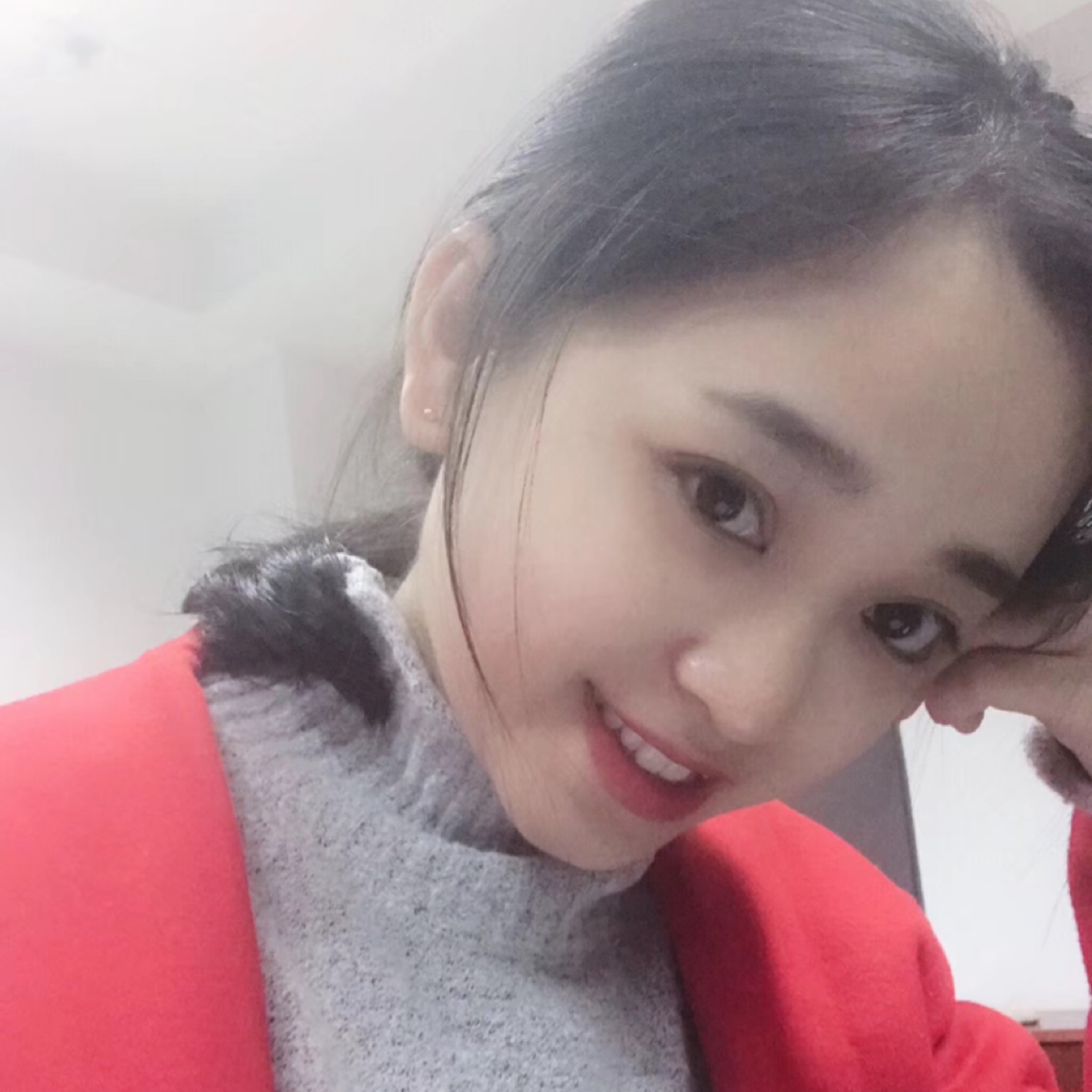 月牙上的垂耳朵