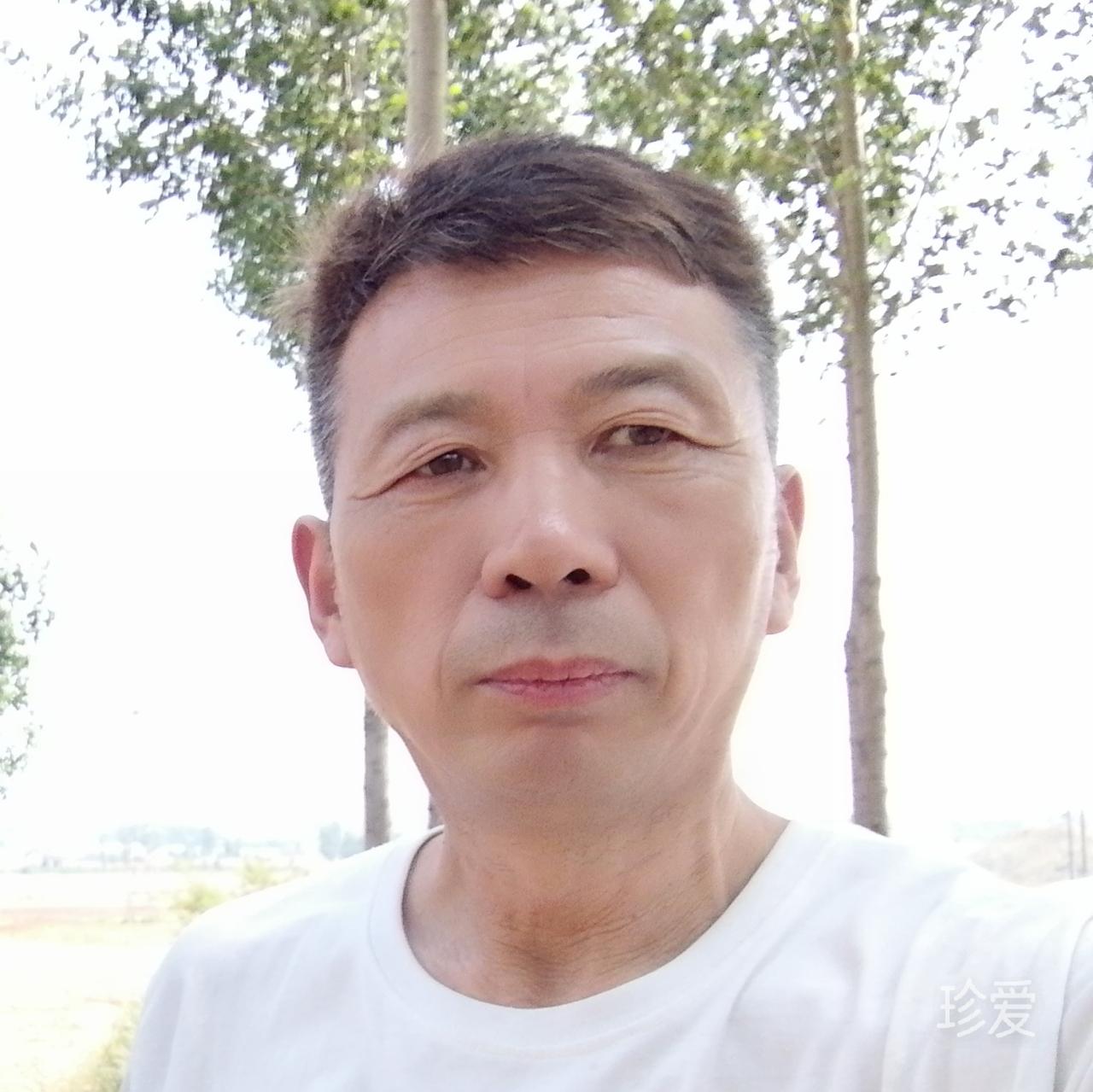 预健