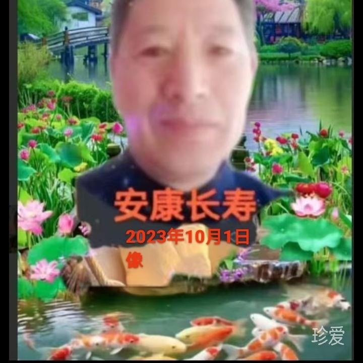 寻她