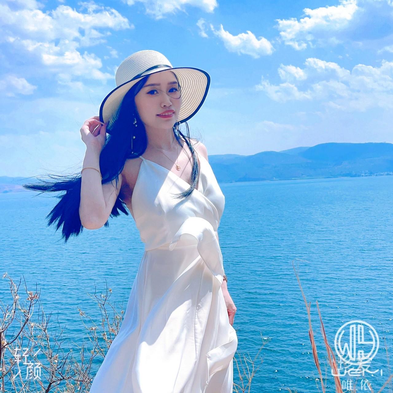 人生若只如初見