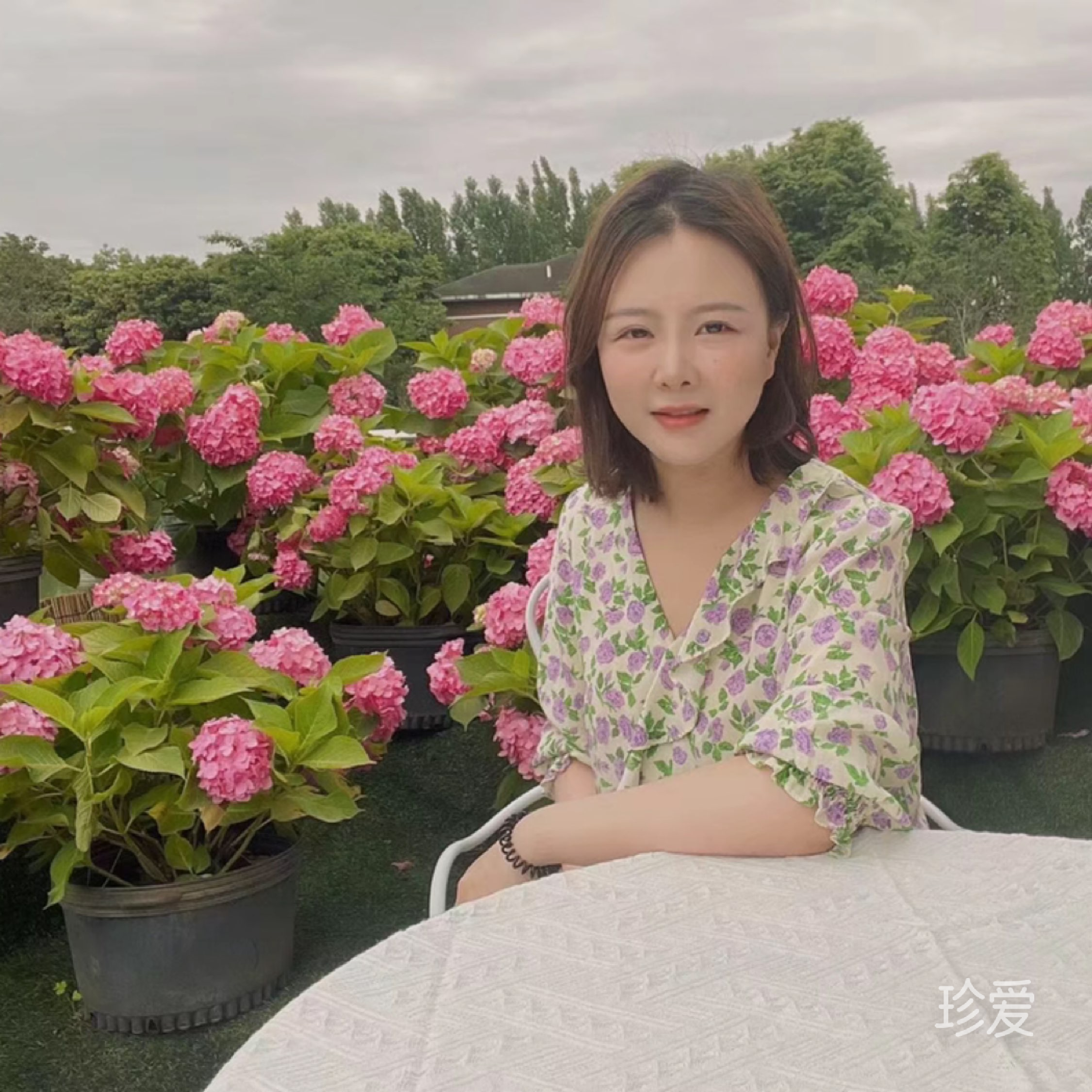 竹子