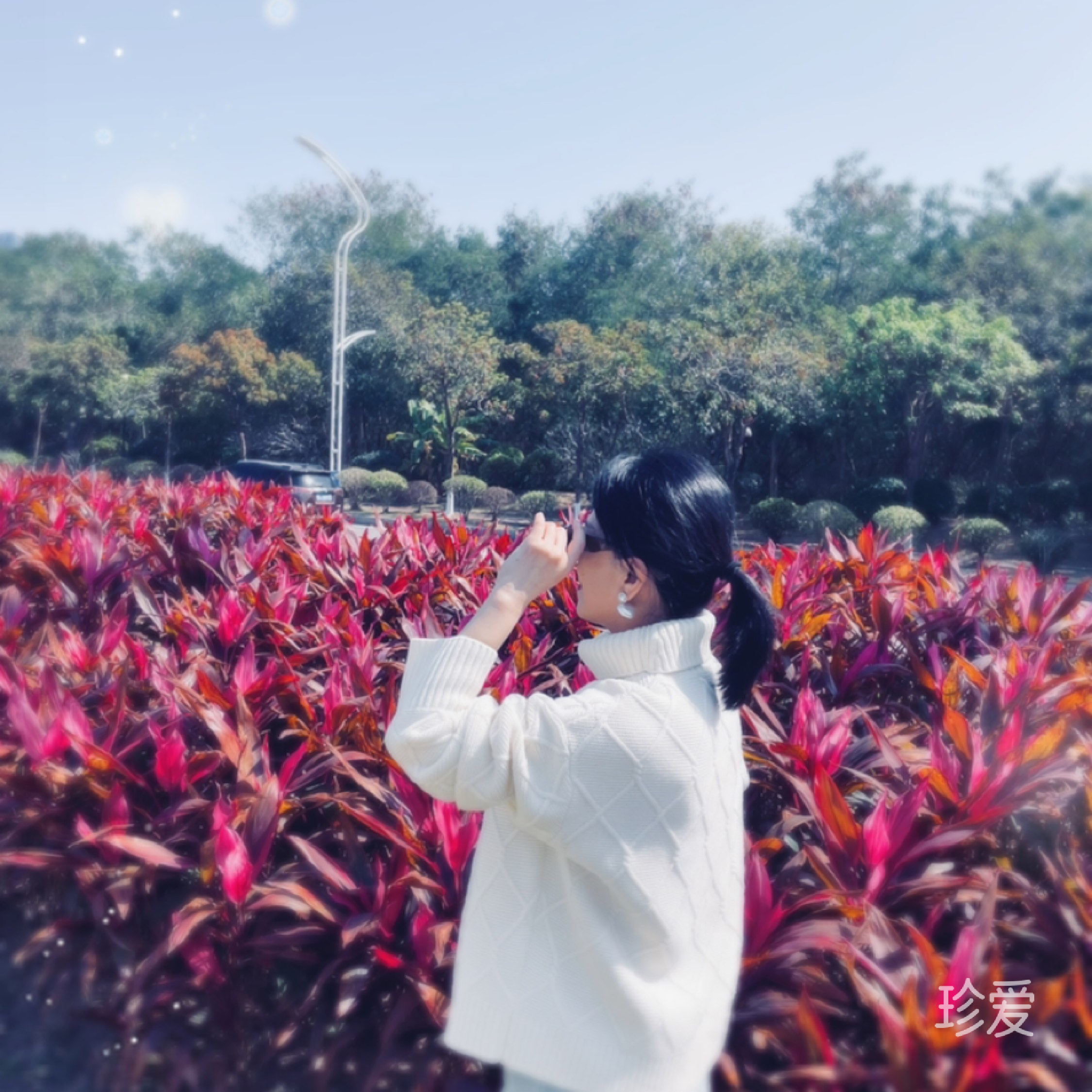 一袭纸鸢