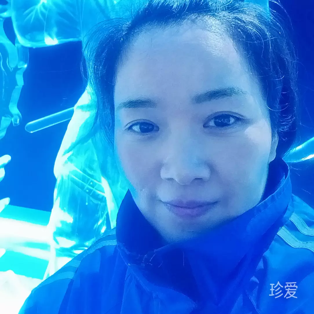 淡淡的风