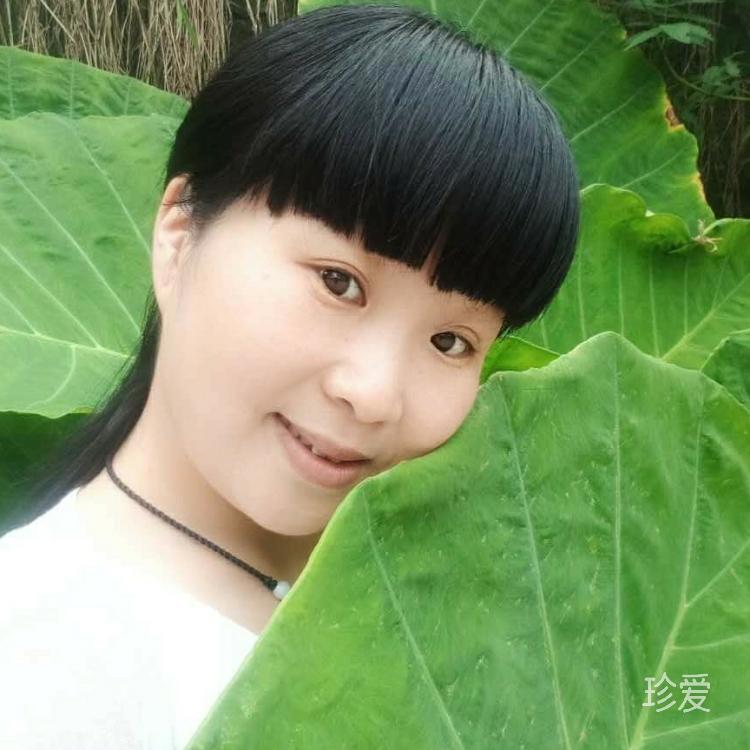 圆缘