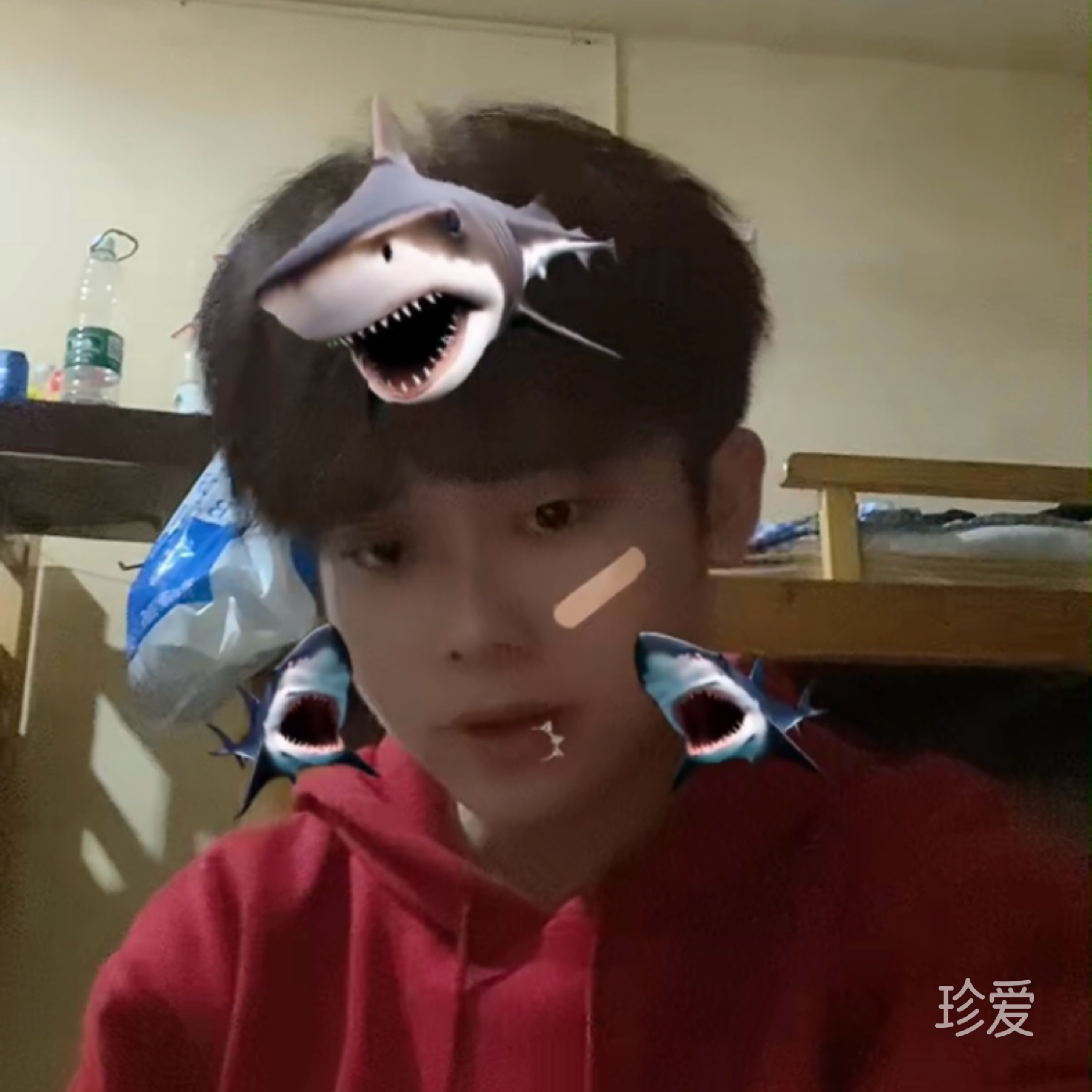 远逝的诺言