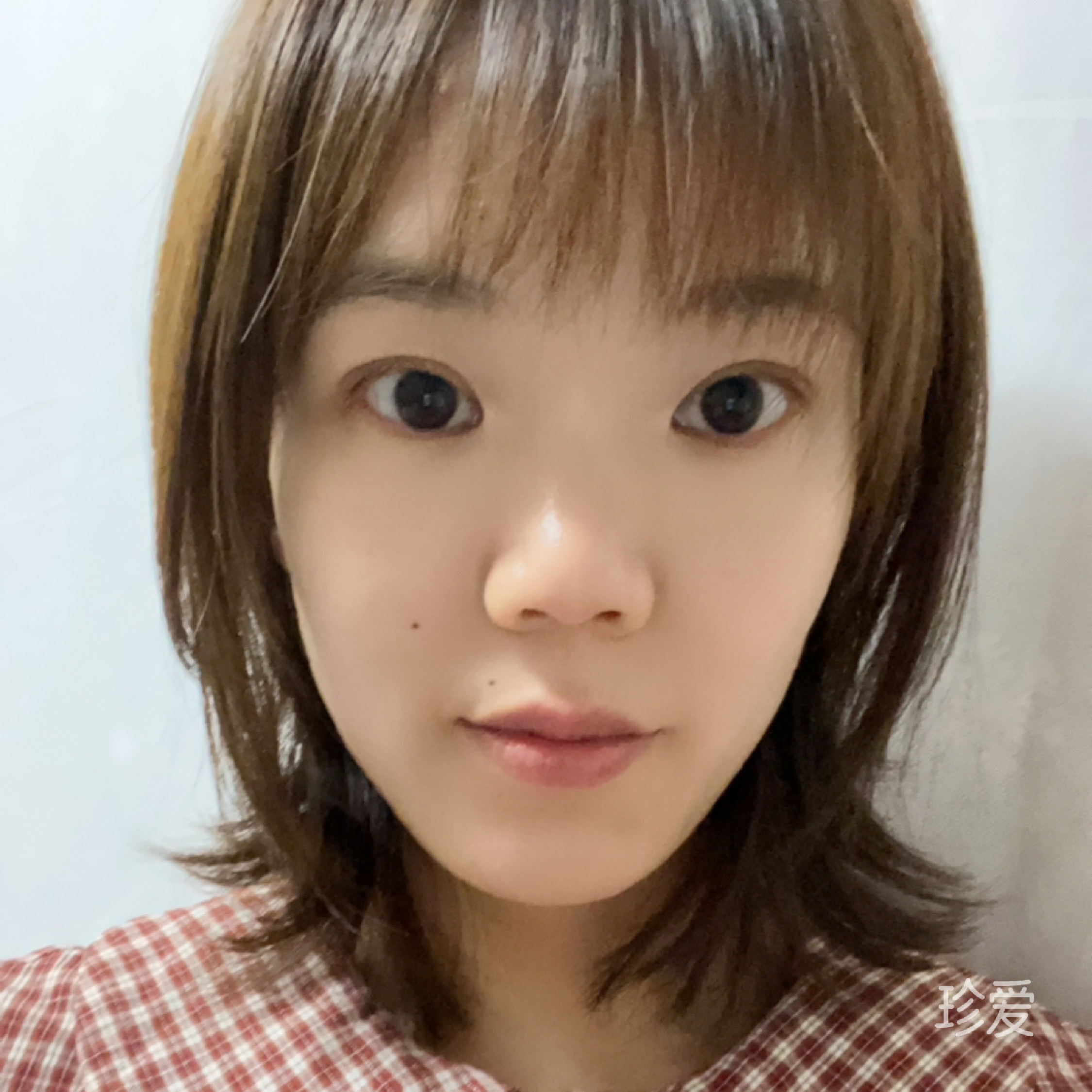 黑色蔷薇