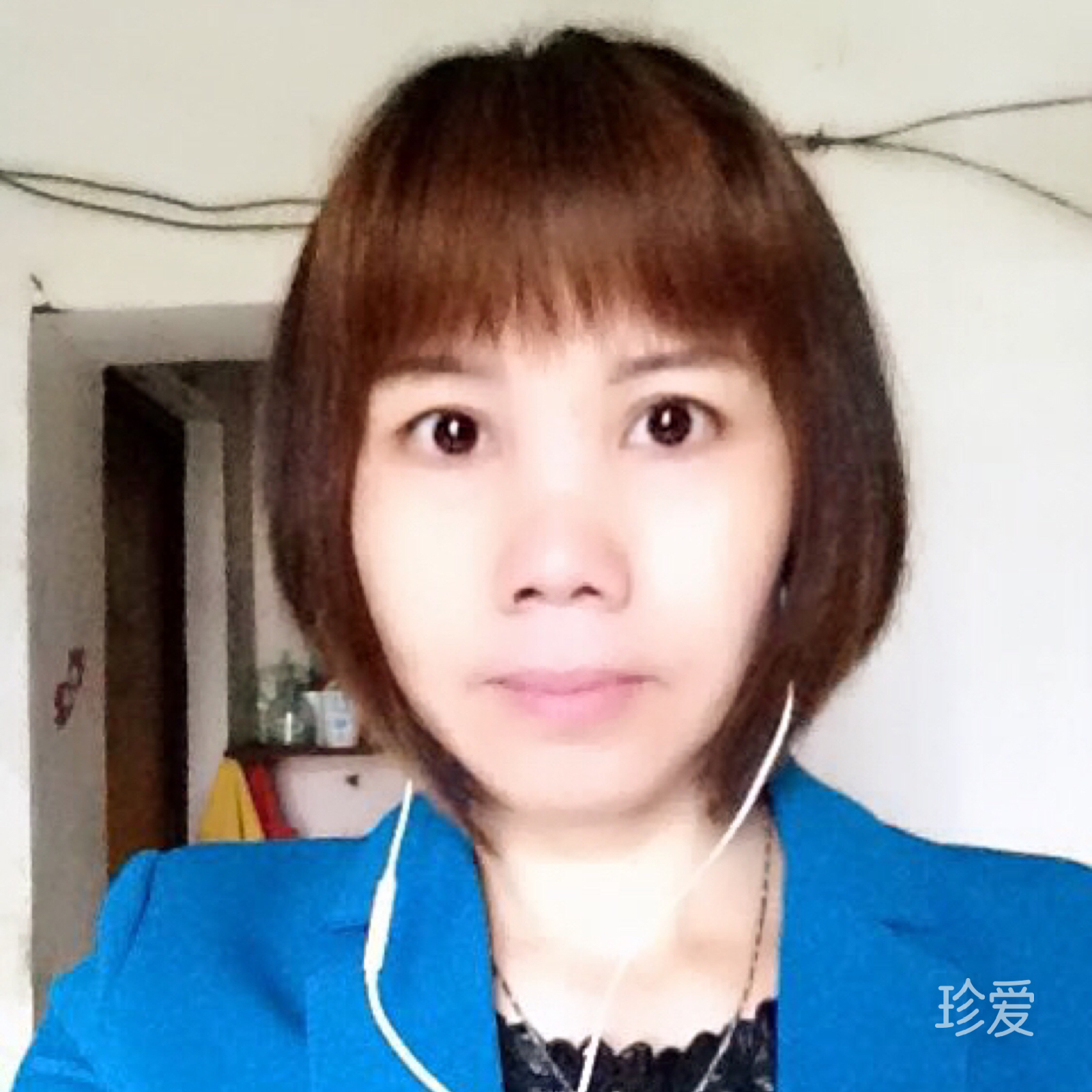 紫罗兰