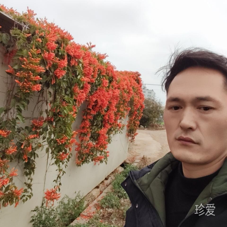 泡沫