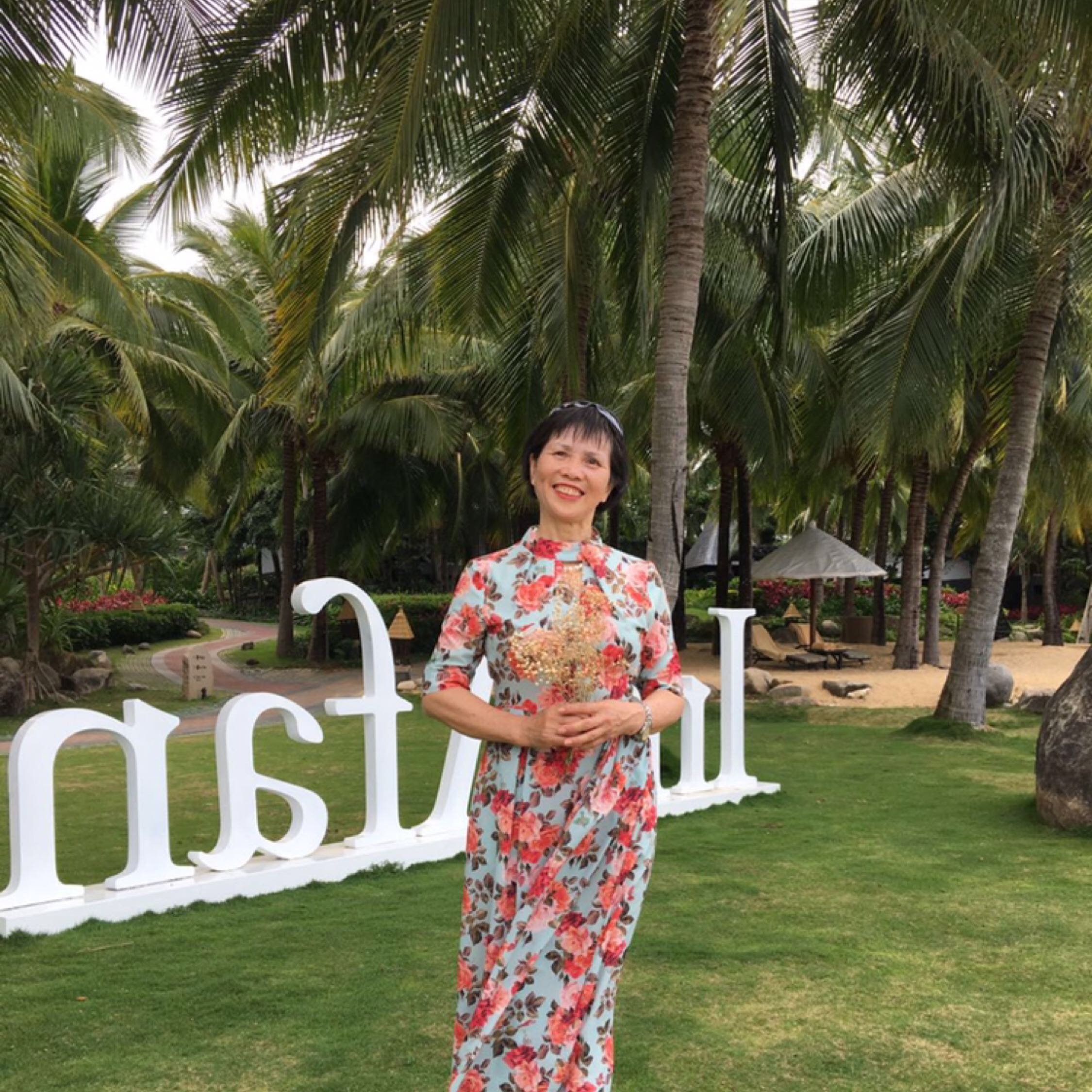 尋找愛(ài)的薰衣草