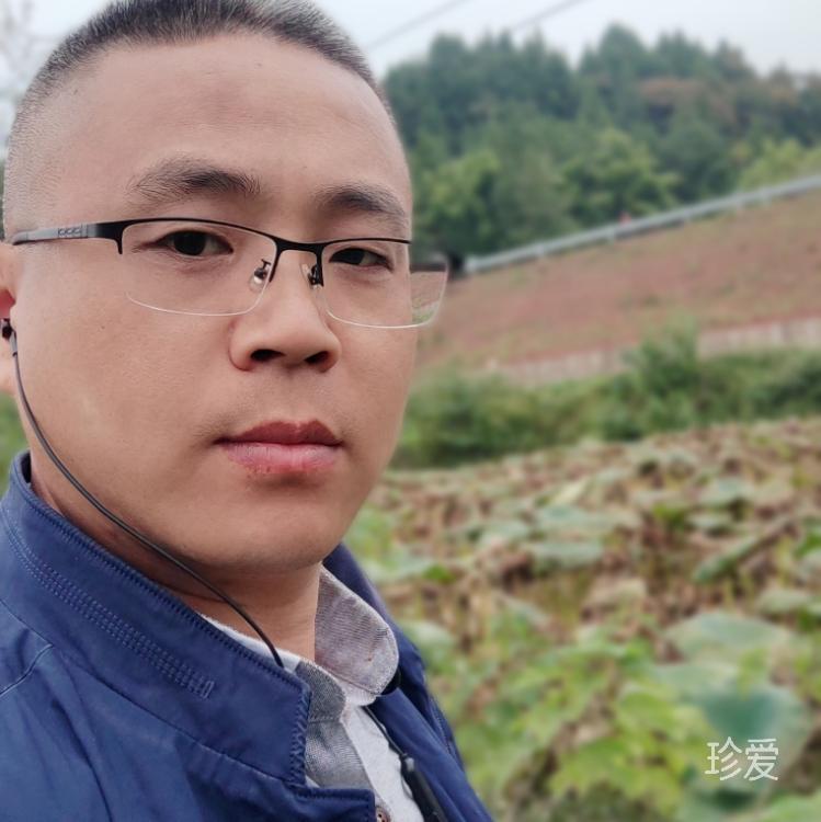 大漠骆驼
