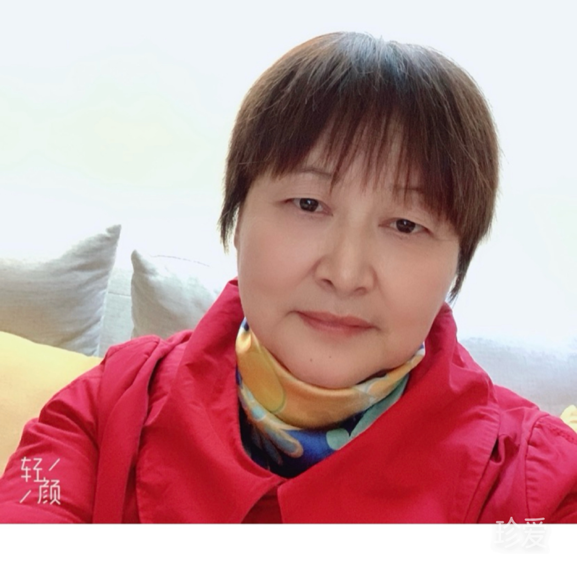 清燕子
