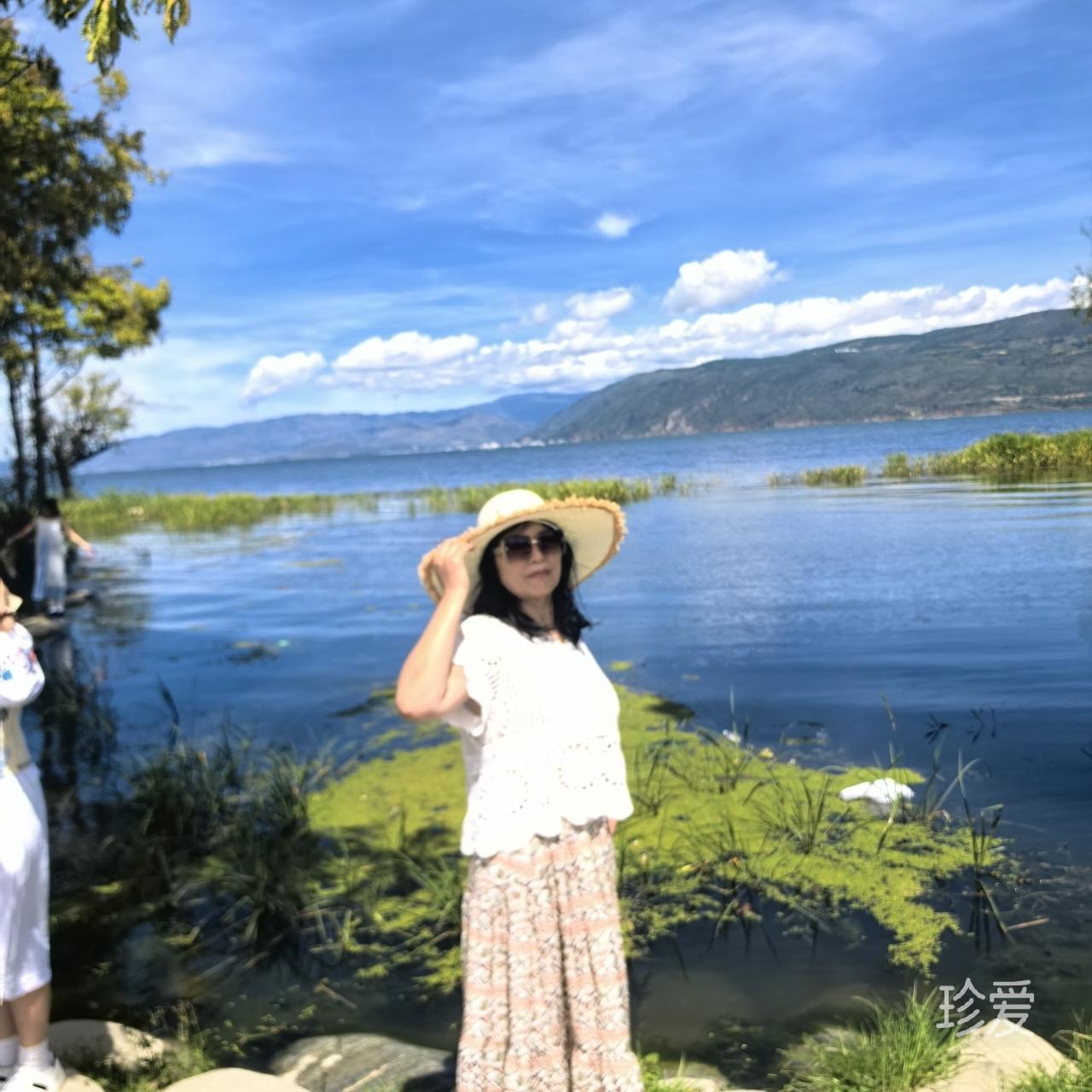 风往北吹