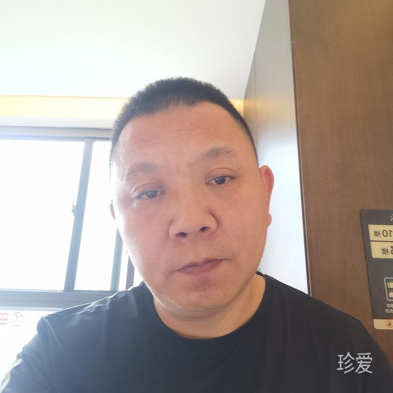 抱影无眠