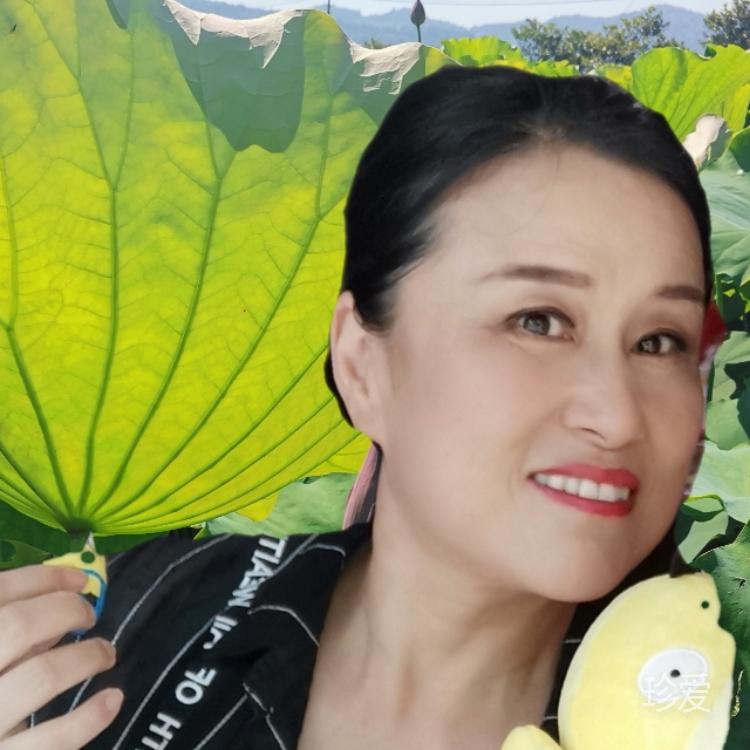 一片雪花飄在地