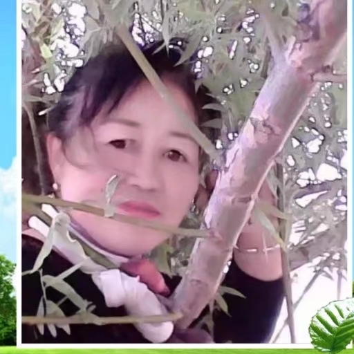 尋你到天涯海角