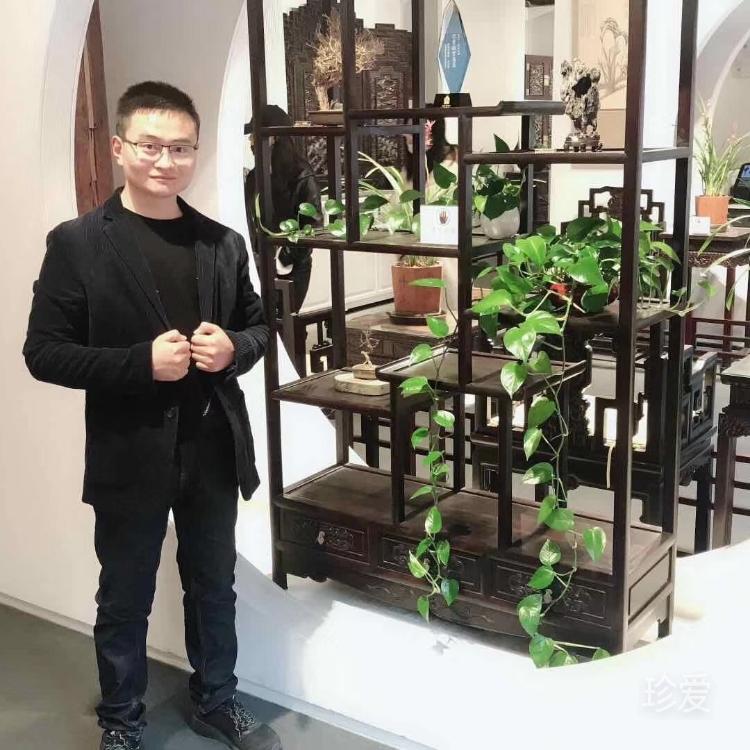 飛在云端的菠蘿