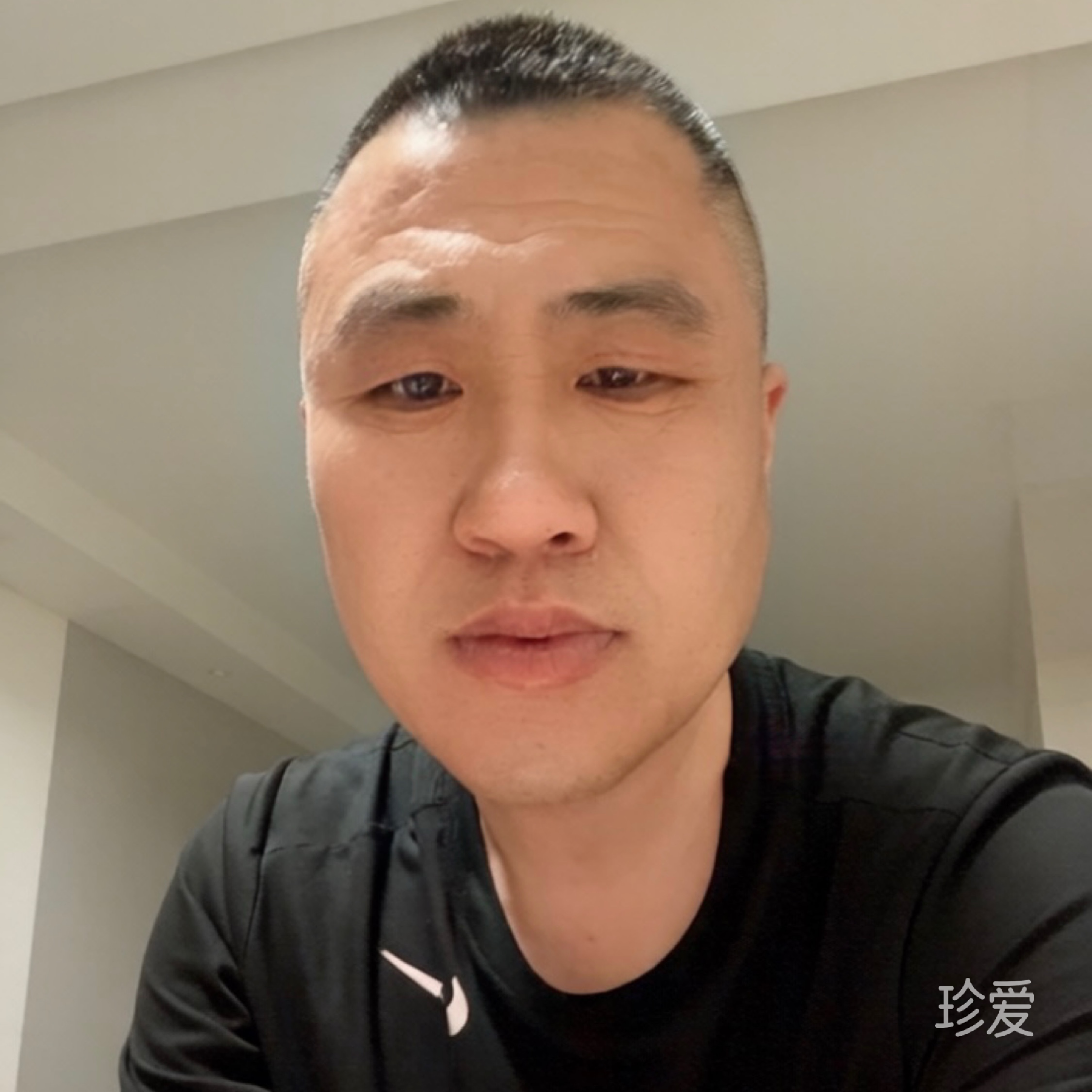双哥