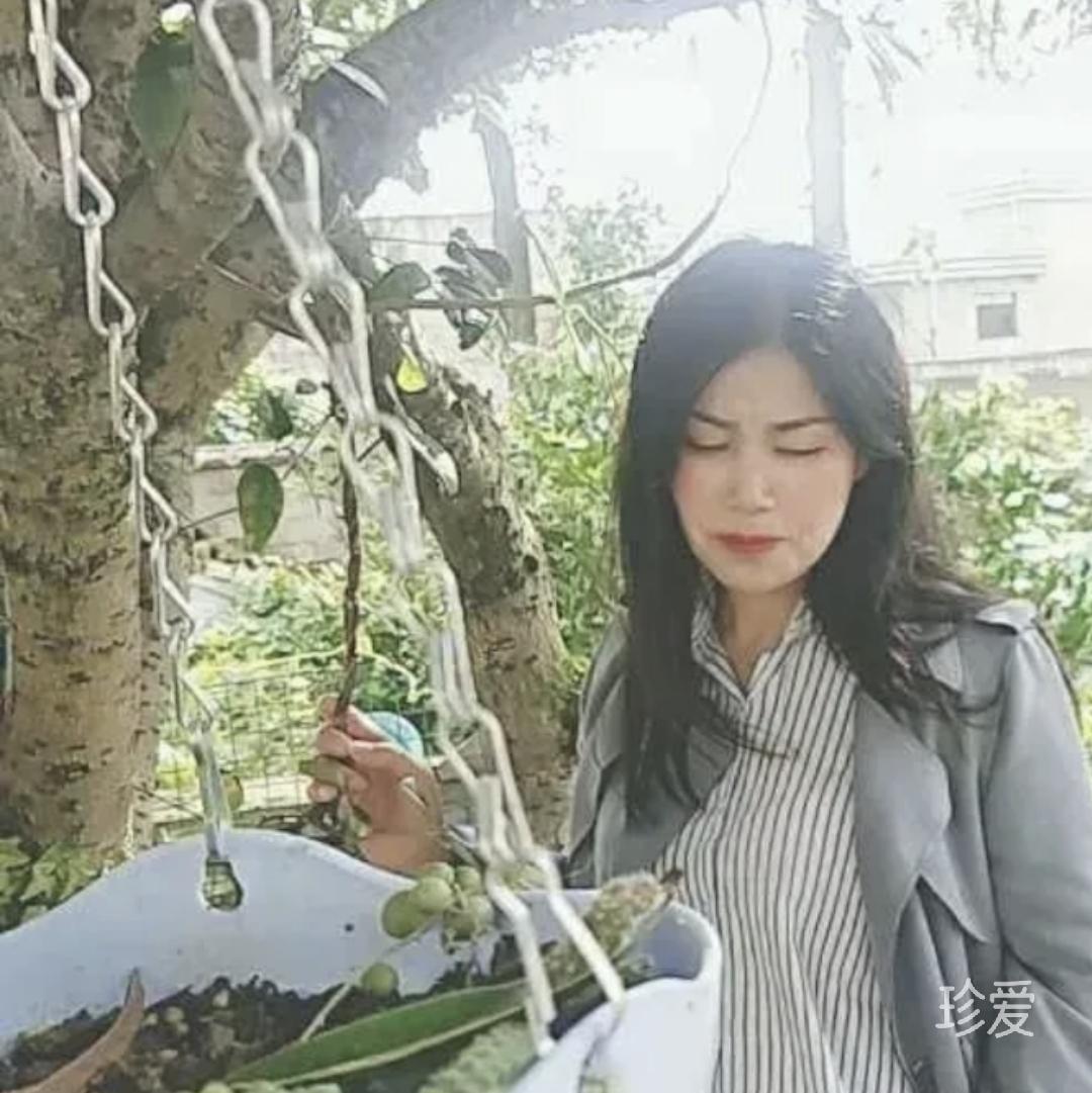 彩云追月