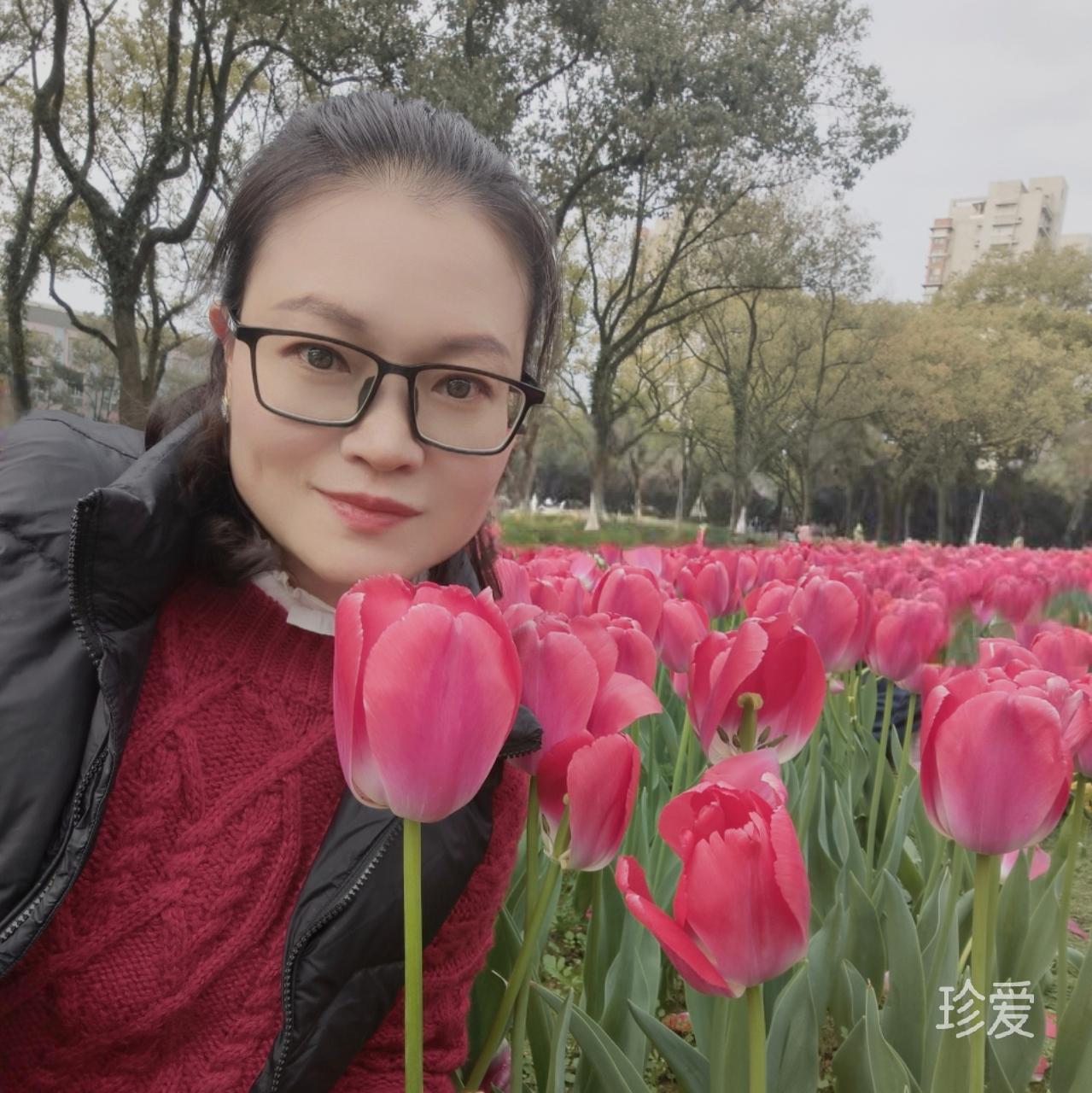 qiqi