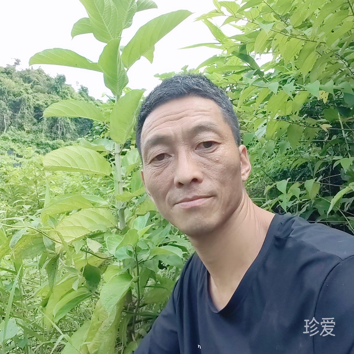 听风等雨