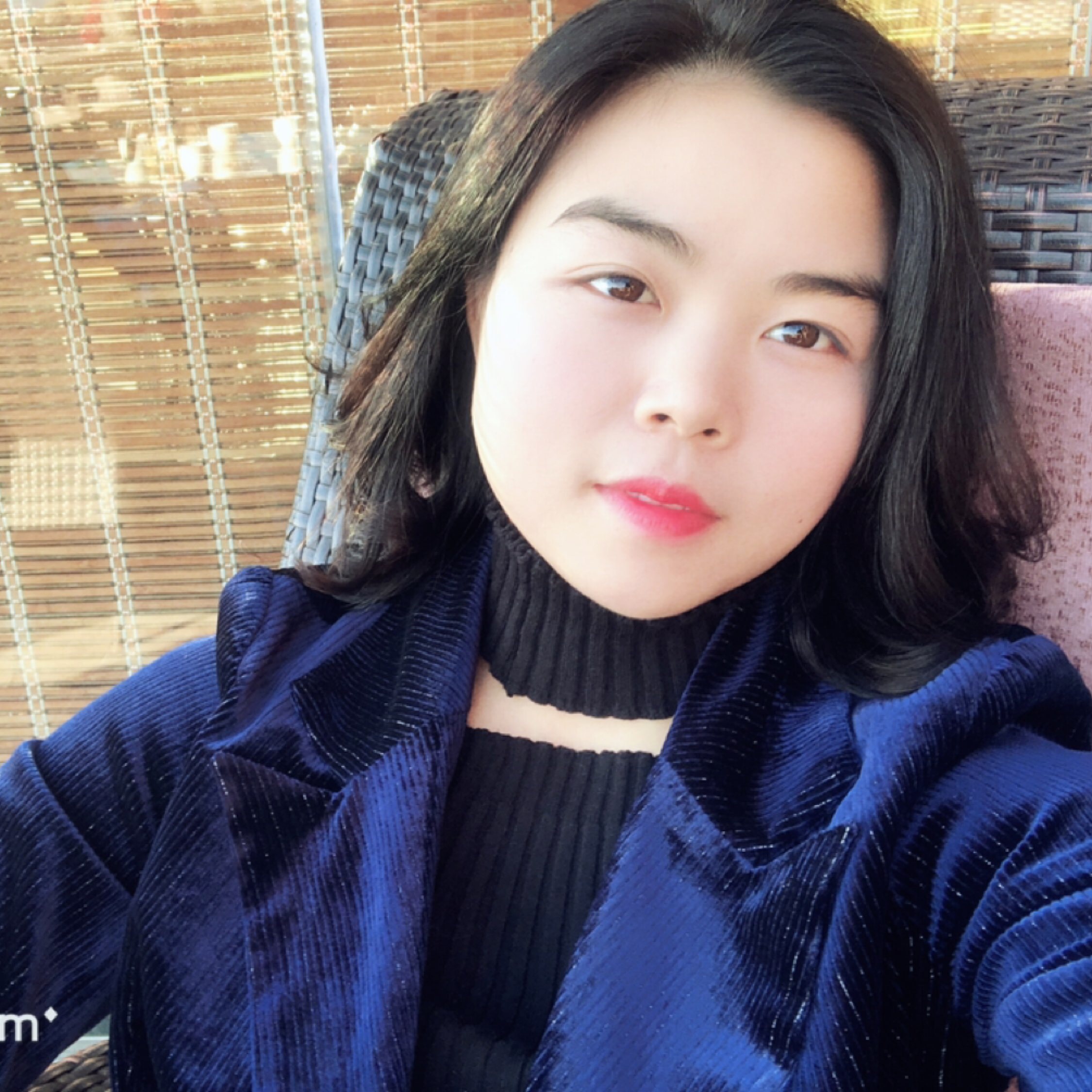 追風(fēng)的葉子