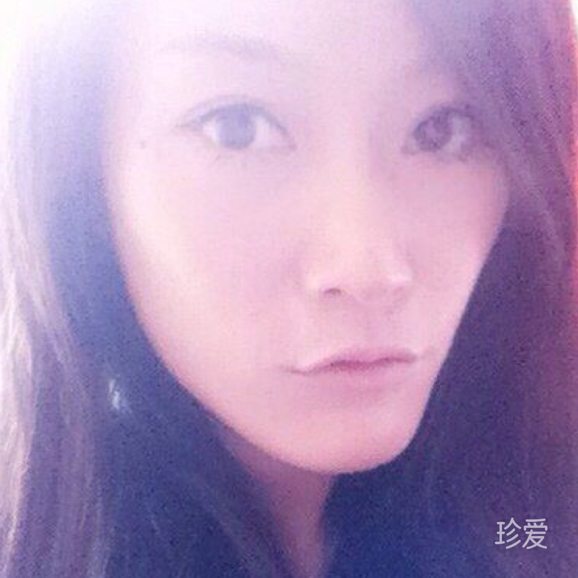 大白菜