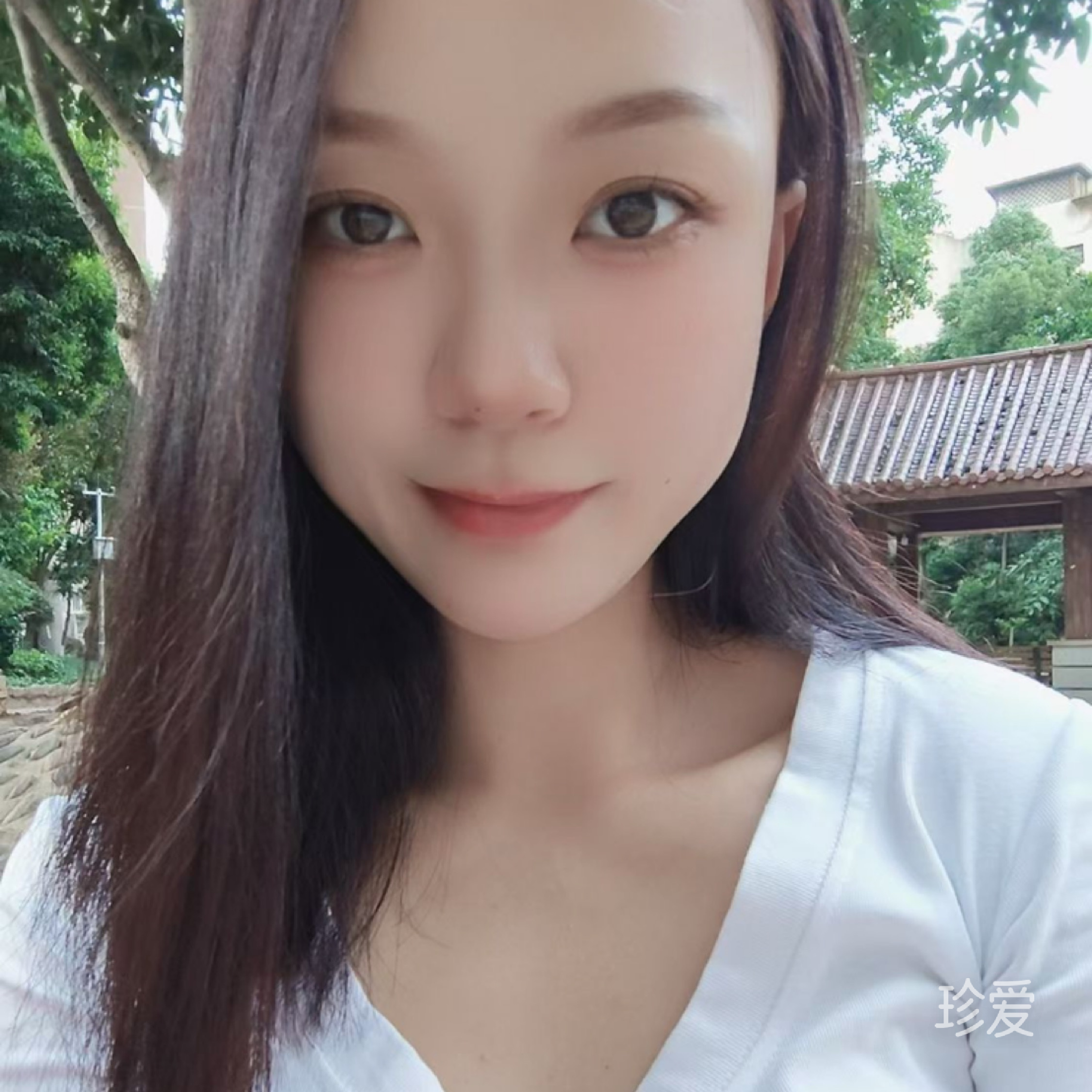 风吹麦浪
