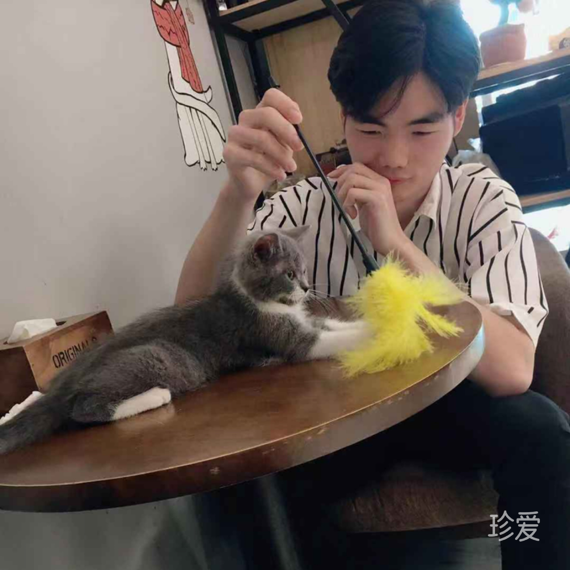 小刘小刘喝茶吃饭