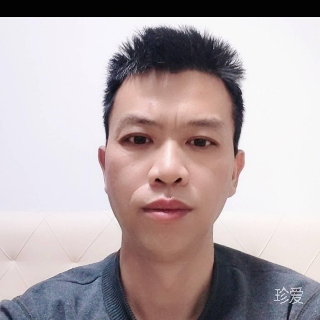 韩金树