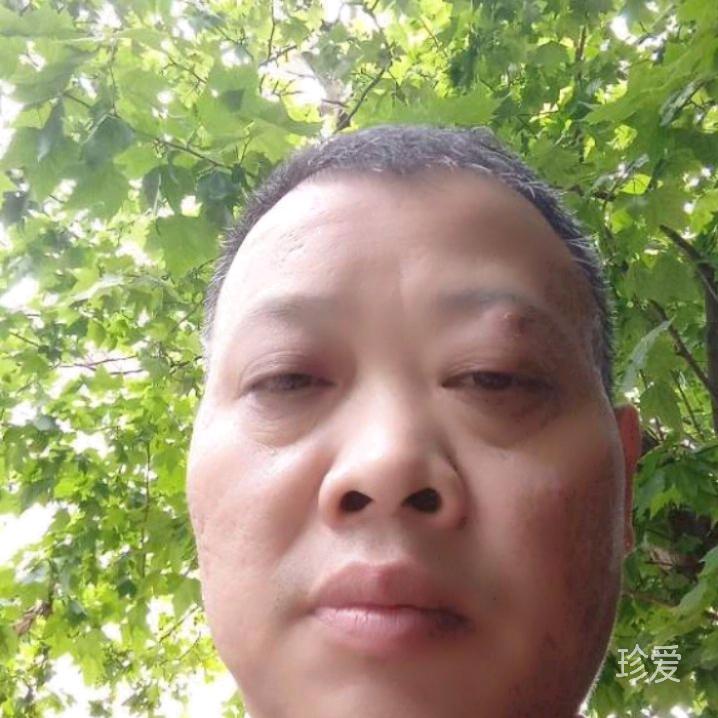 一起去看流星雨