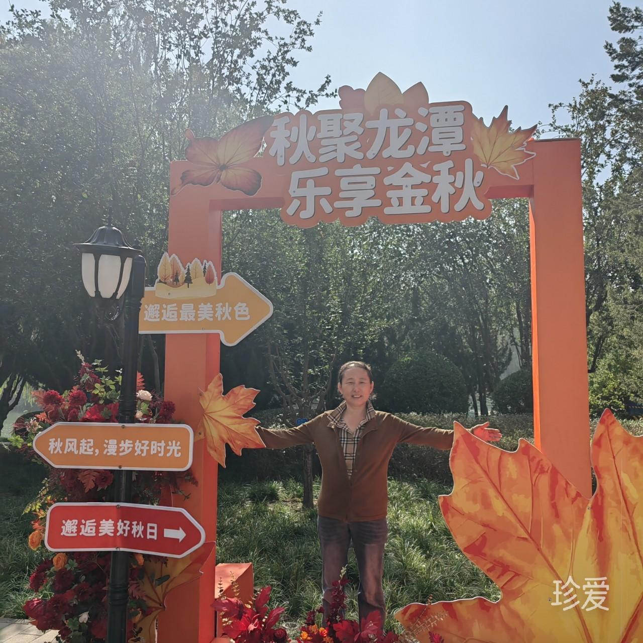 顺其自然