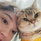 茉莉