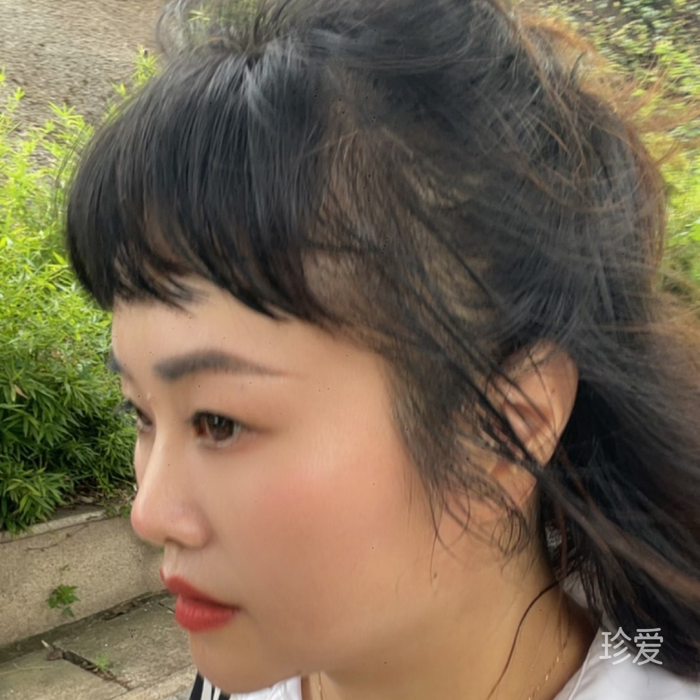 田田