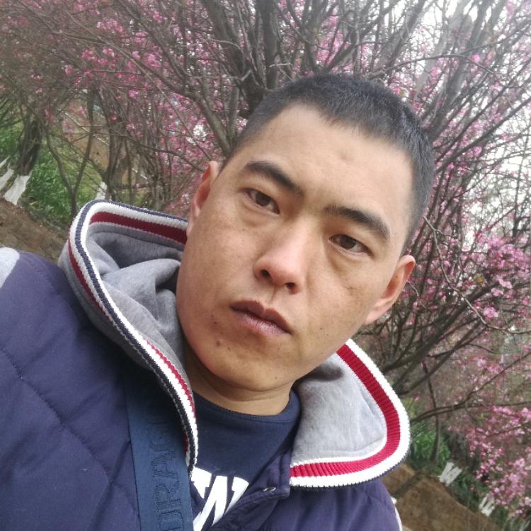 飄蕩的船想停靠