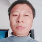 冬日杏林
