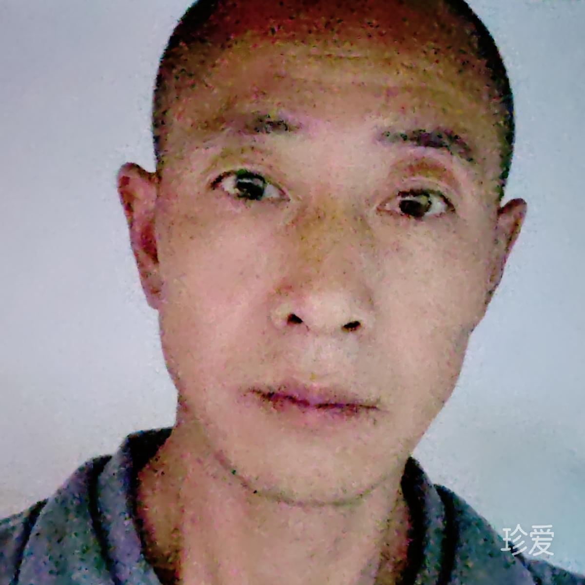 小白的夢(mèng)想