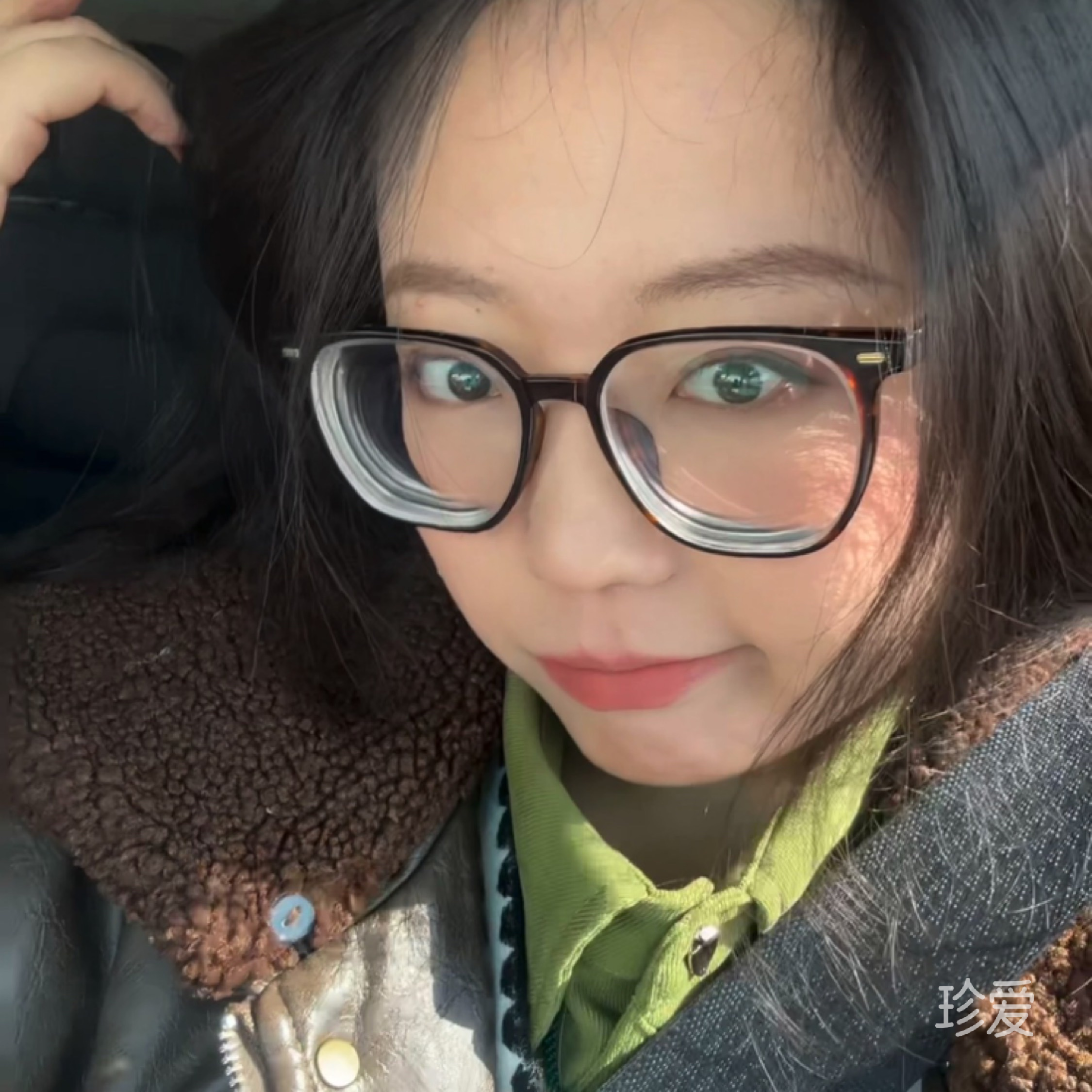 喵星人and汪星人