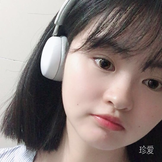 太阳花