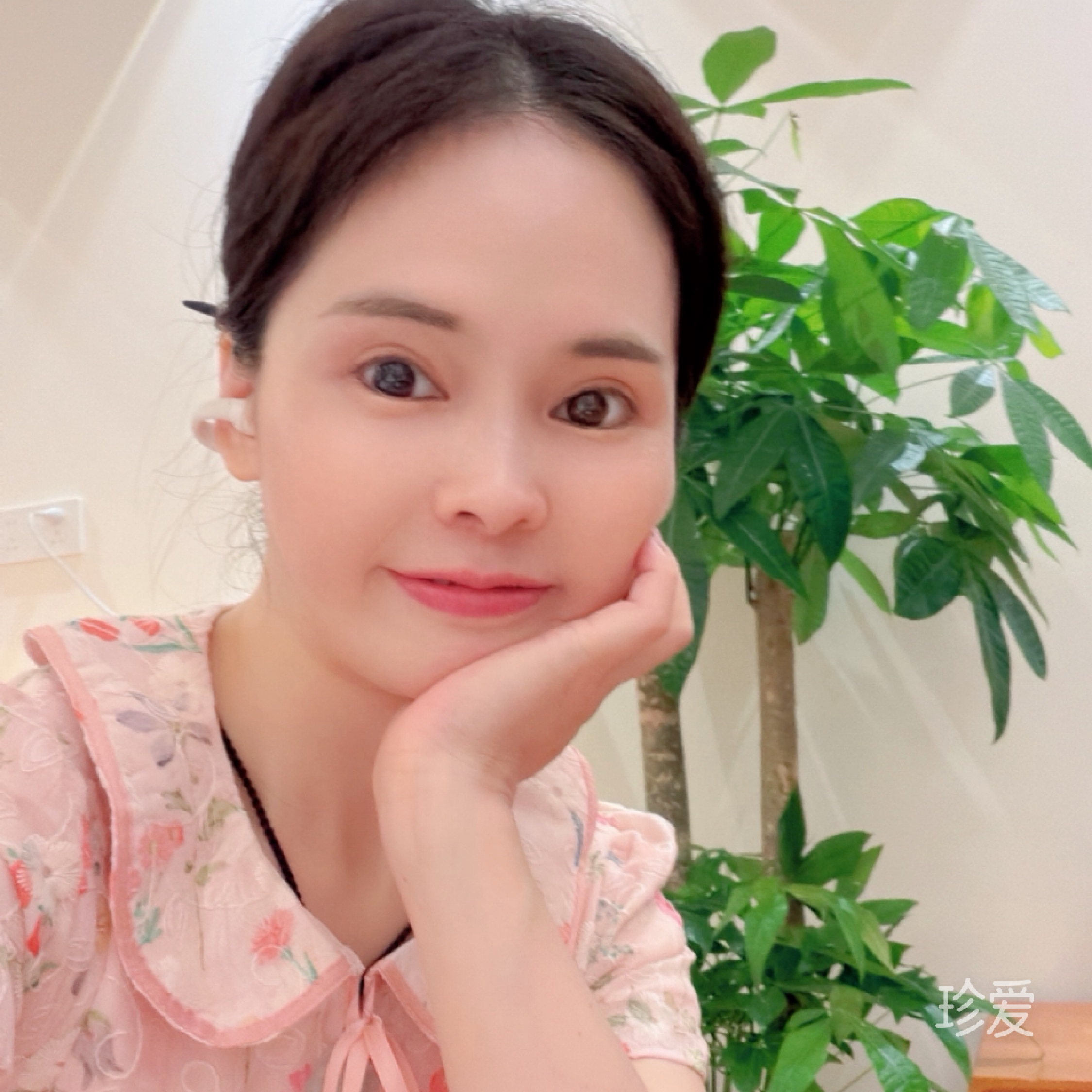 春晓海棠