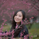 追風(fēng)的葉子