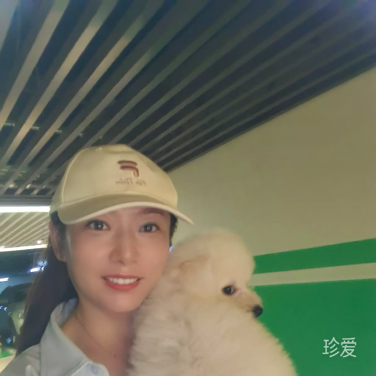 只喜欢你